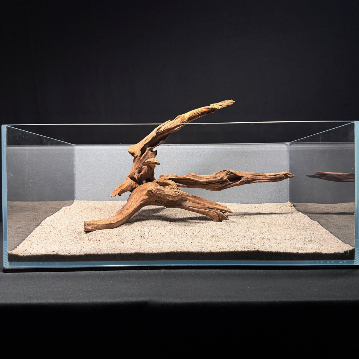Malaysian Driftwood for Aquarium (14-16")