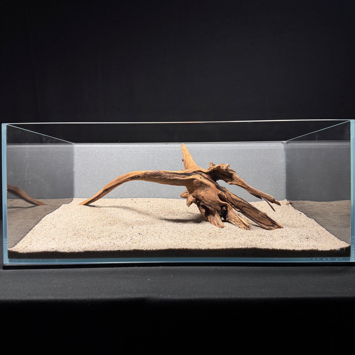 Malaysian Driftwood for Aquarium (14-16")
