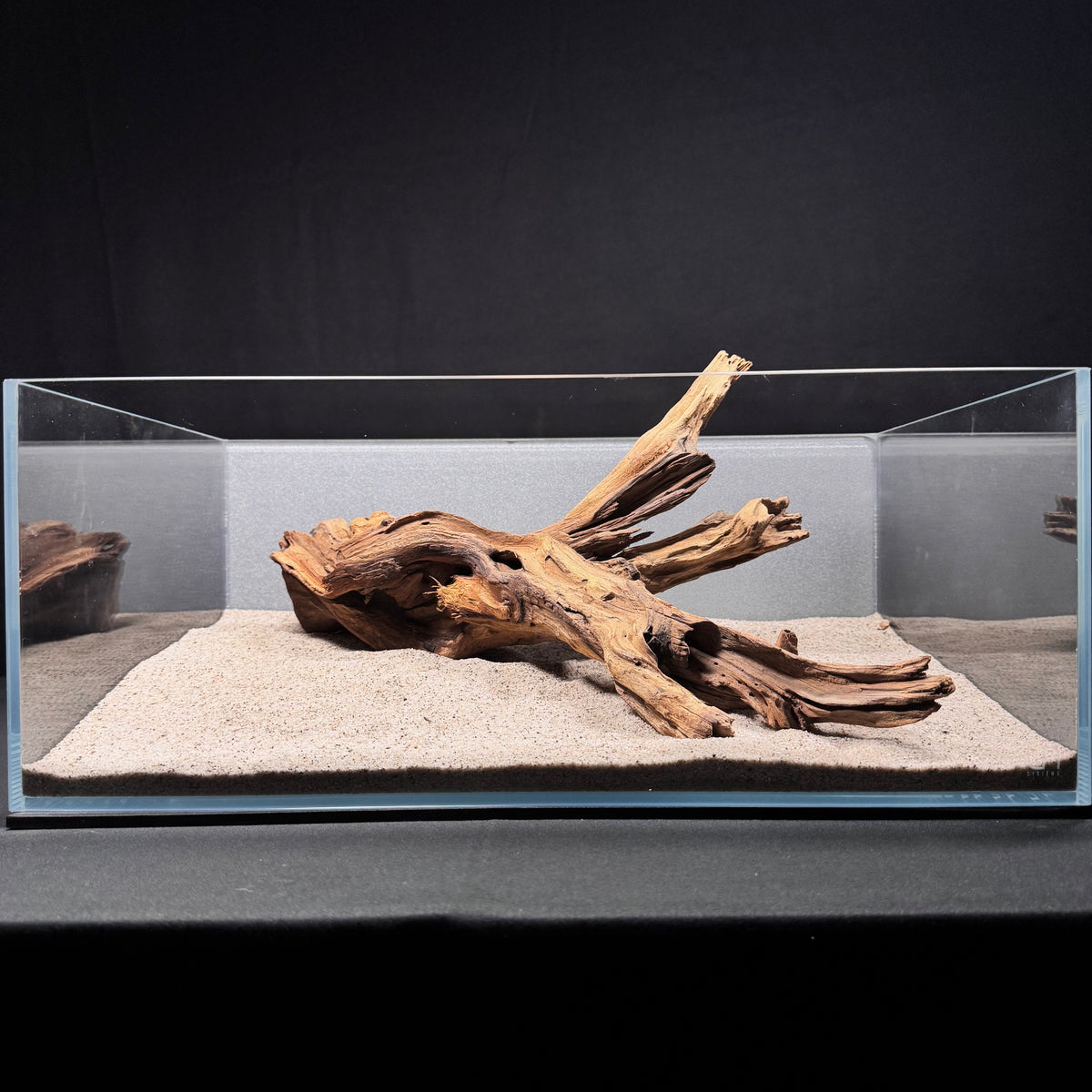 Malaysian Driftwood for Aquarium (14-16")