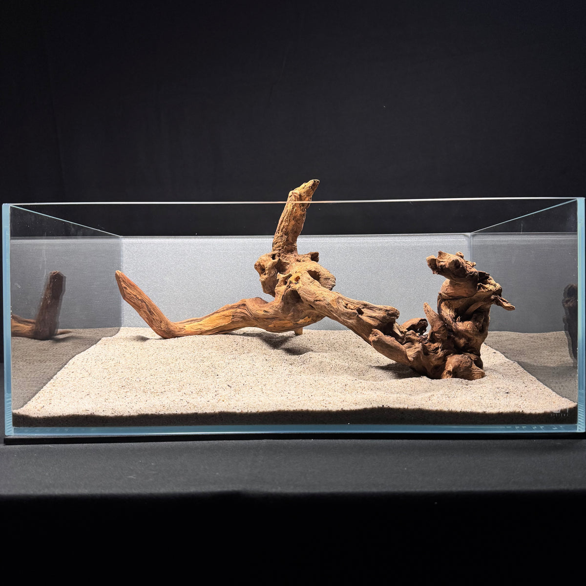 Malaysian Driftwood for Aquarium (14-16")