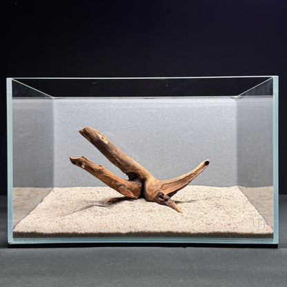 Malaysian Driftwood for Aquarium (6-8")