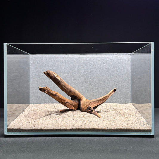 Malaysian Driftwood for Aquarium (6-8")
