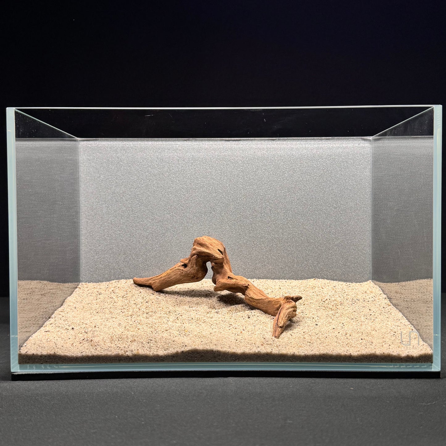 Malaysian Driftwood for Aquarium (6-8")