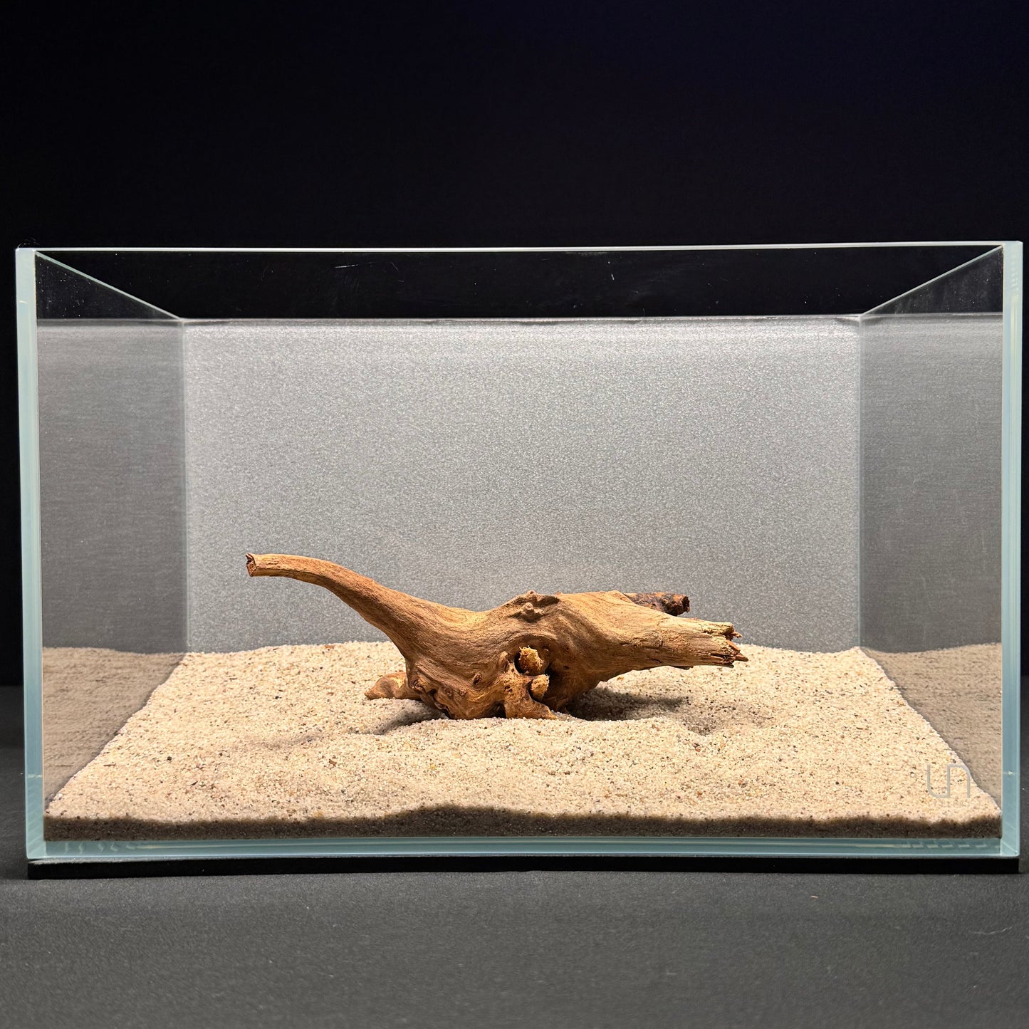 Malaysian Driftwood for Aquarium (6-8")
