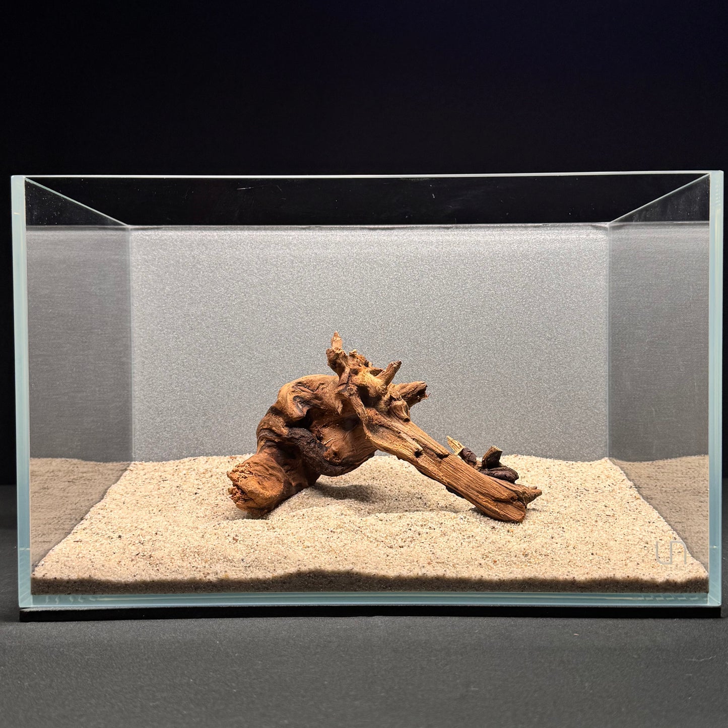 Malaysian Driftwood for Aquarium (6-8")