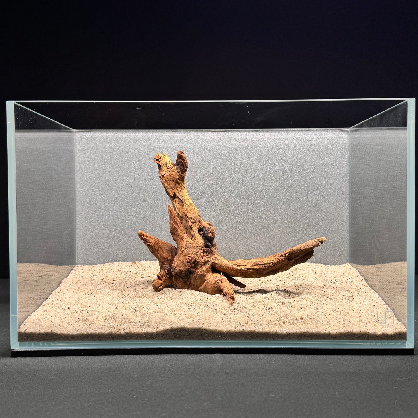 Malaysian Driftwood for Aquarium (6-8")
