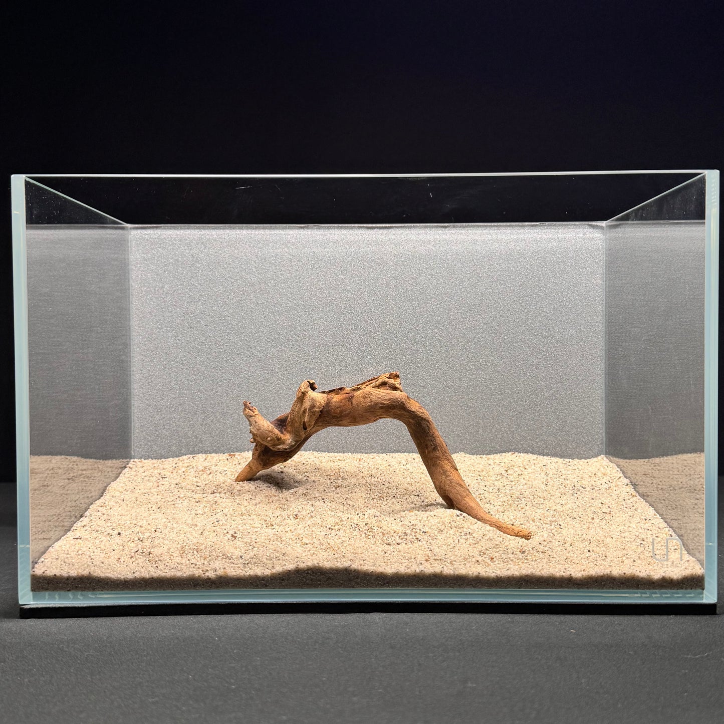 Malaysian Driftwood for Aquarium (6-8")