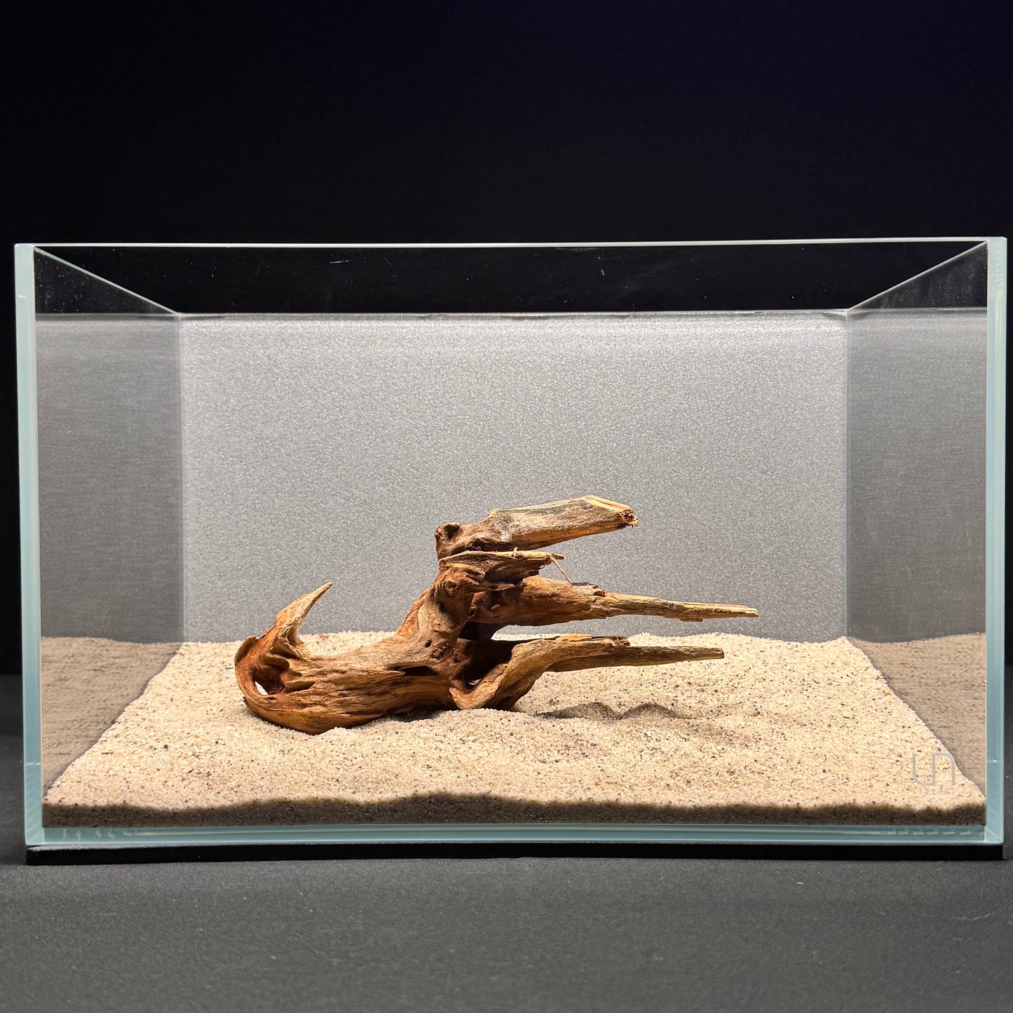 Malaysian Driftwood for Aquarium (6-8")