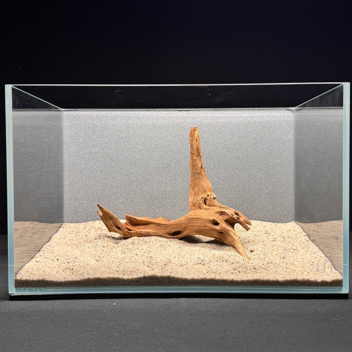 Malaysian Driftwood for Aquarium (6-8")