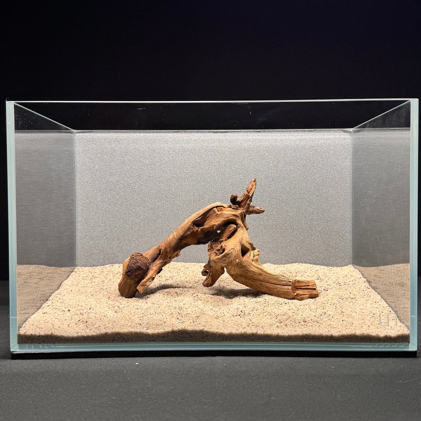 Malaysian Driftwood for Aquarium (6-8")