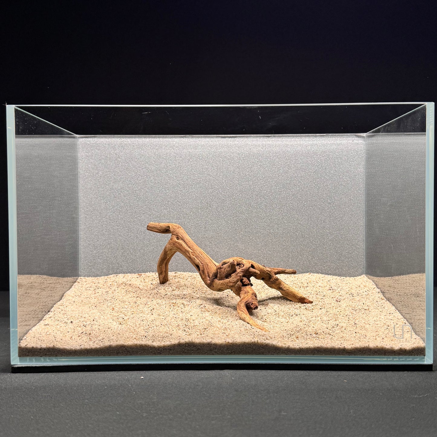 Malaysian Driftwood for Aquarium (6-8")