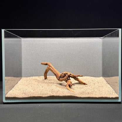Malaysian Driftwood for Aquarium (6-8")