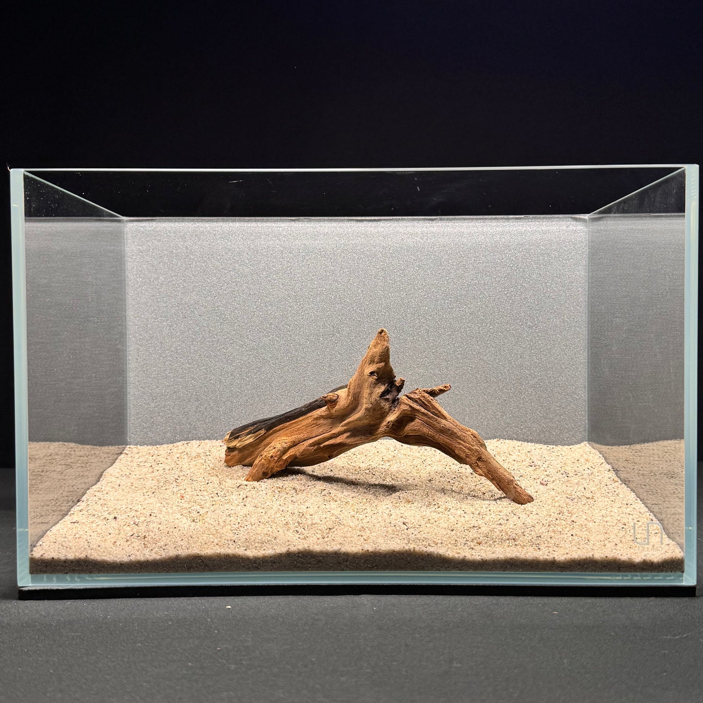 Malaysian Driftwood for Aquarium (6-8")