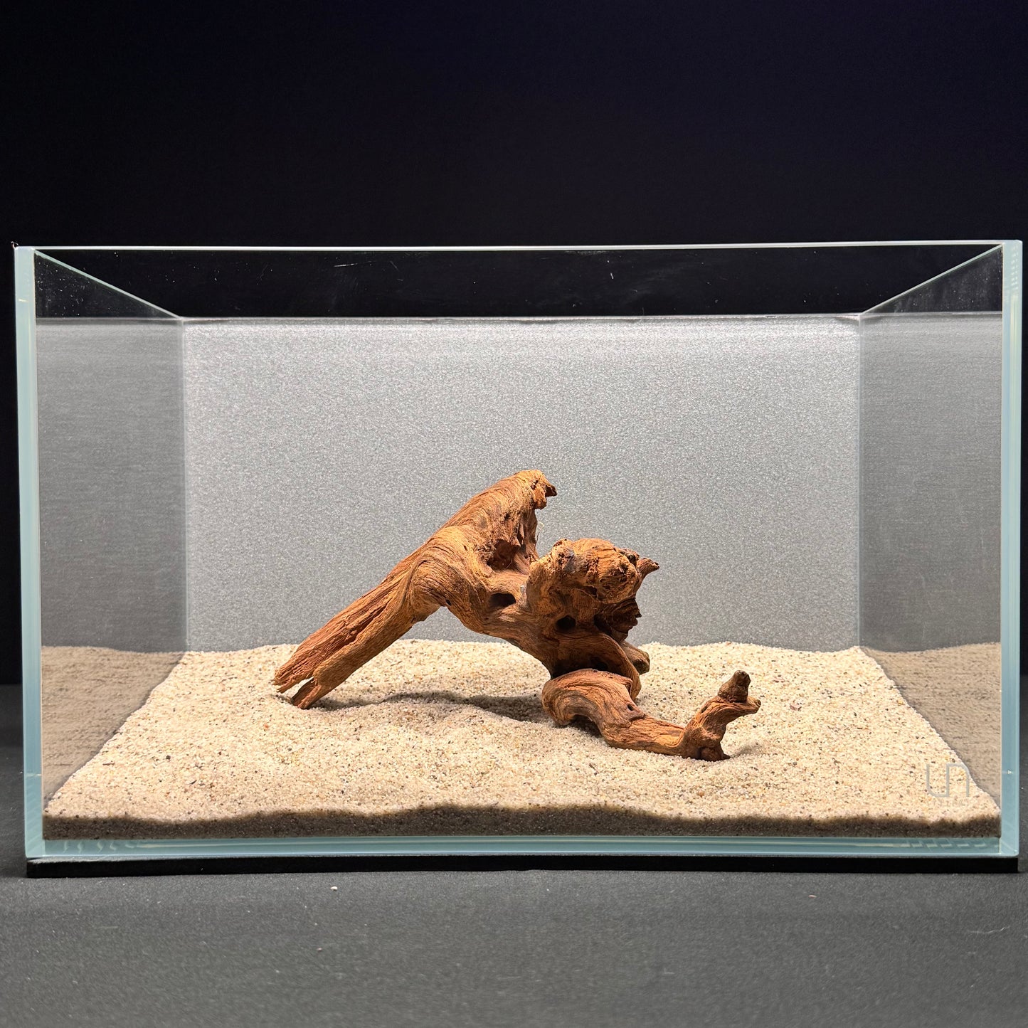 Malaysian Driftwood for Aquarium (6-8")
