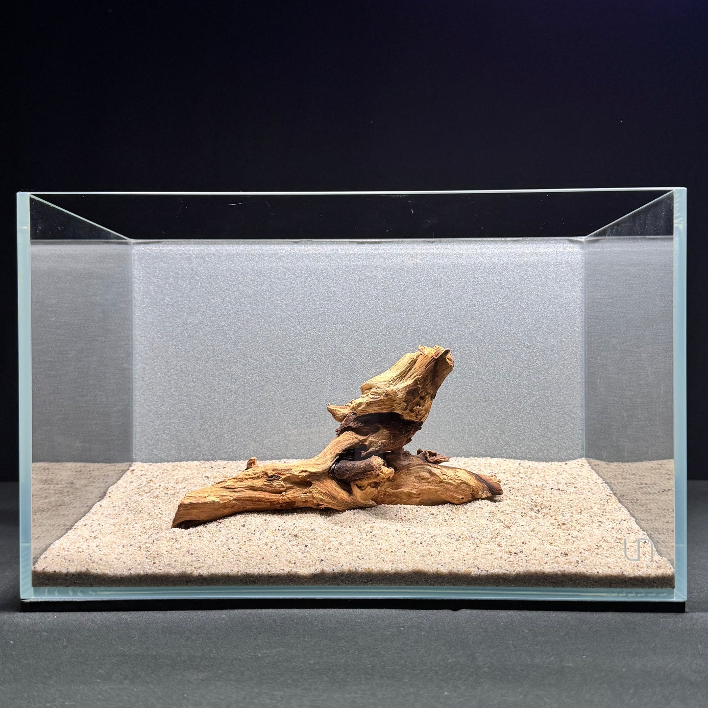 Malaysian Driftwood for Aquarium (6-8")