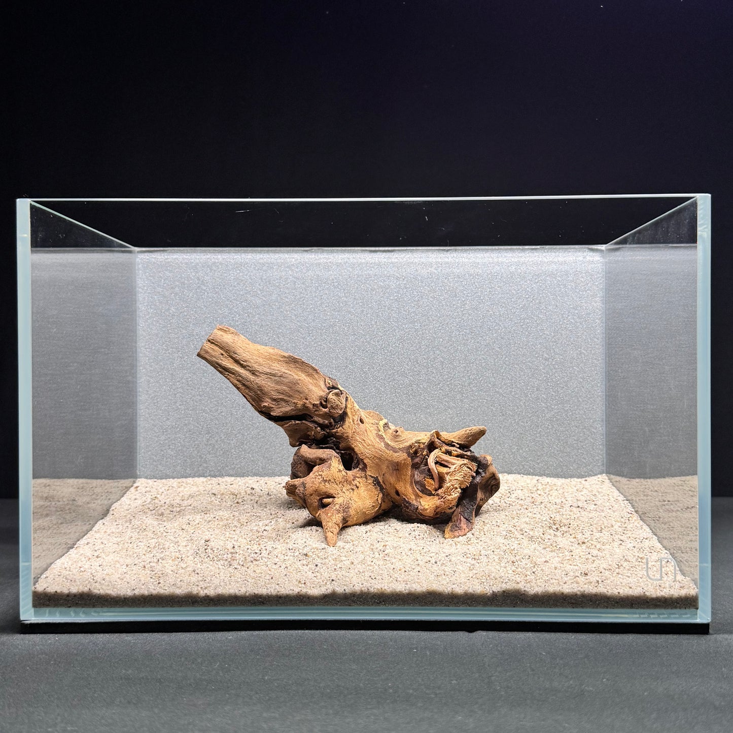 Malaysian Driftwood for Aquarium (6-8")