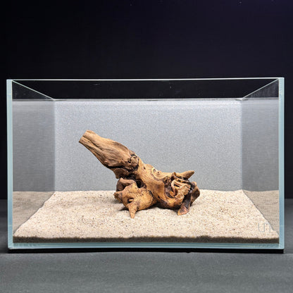Malaysian Driftwood for Aquarium (6-8")