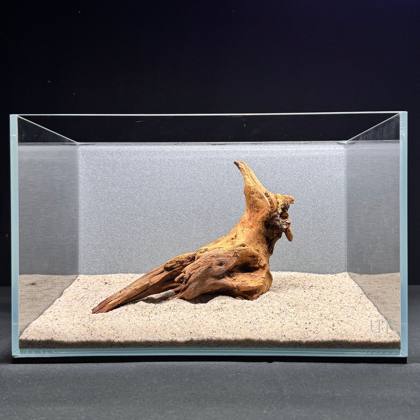 Malaysian Driftwood for Aquarium (8-10")