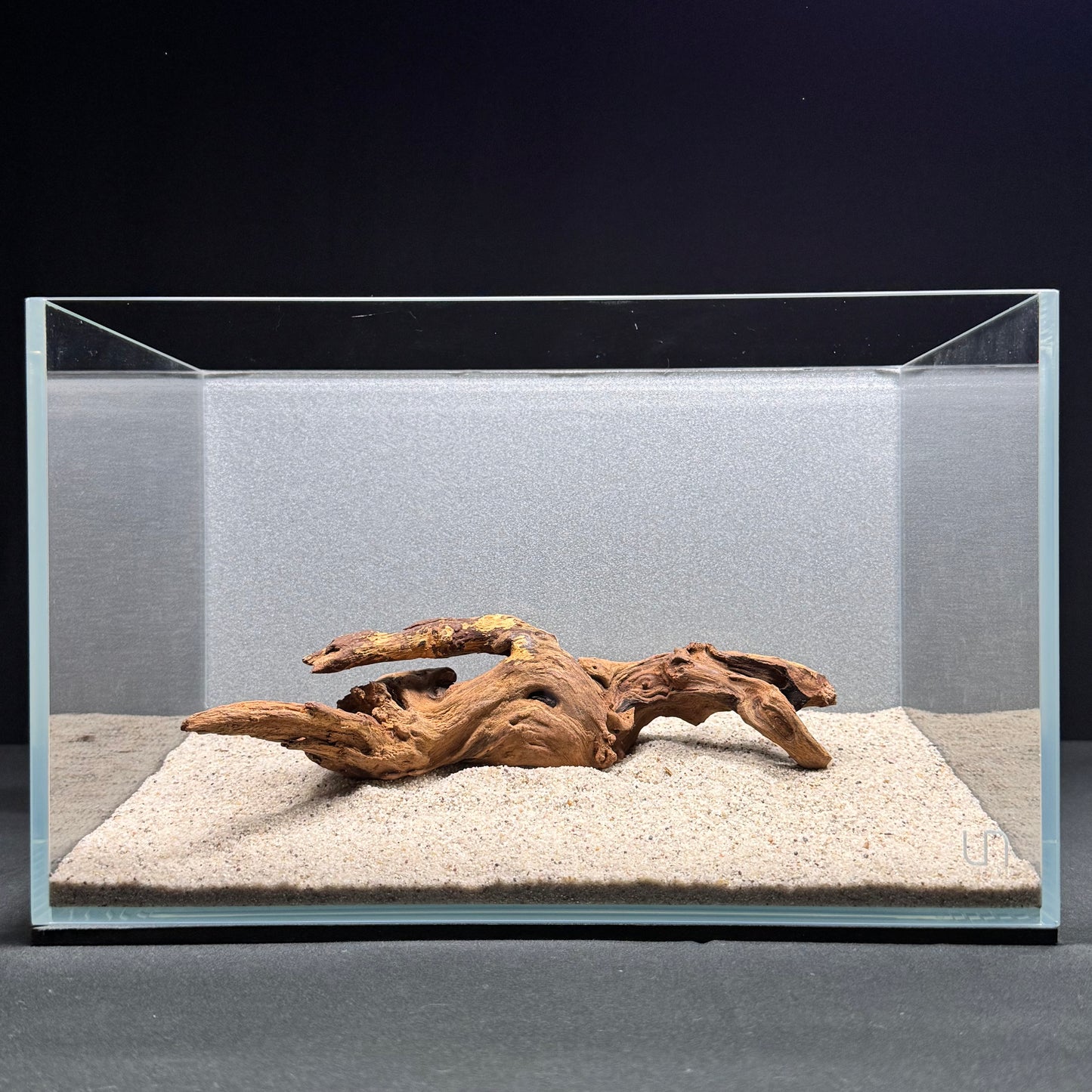 Malaysian Driftwood for Aquarium (8-10")