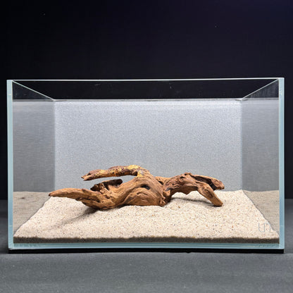Malaysian Driftwood for Aquarium (8-10")