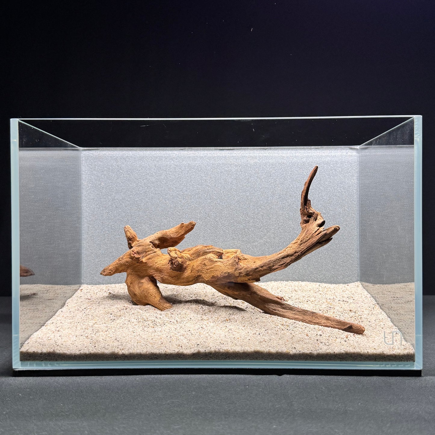 Malaysian Driftwood for Aquarium (8-10")