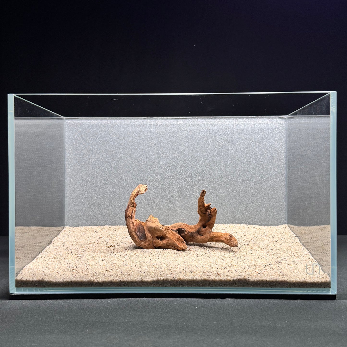 Malaysian Driftwood for Aquarium (4–6")