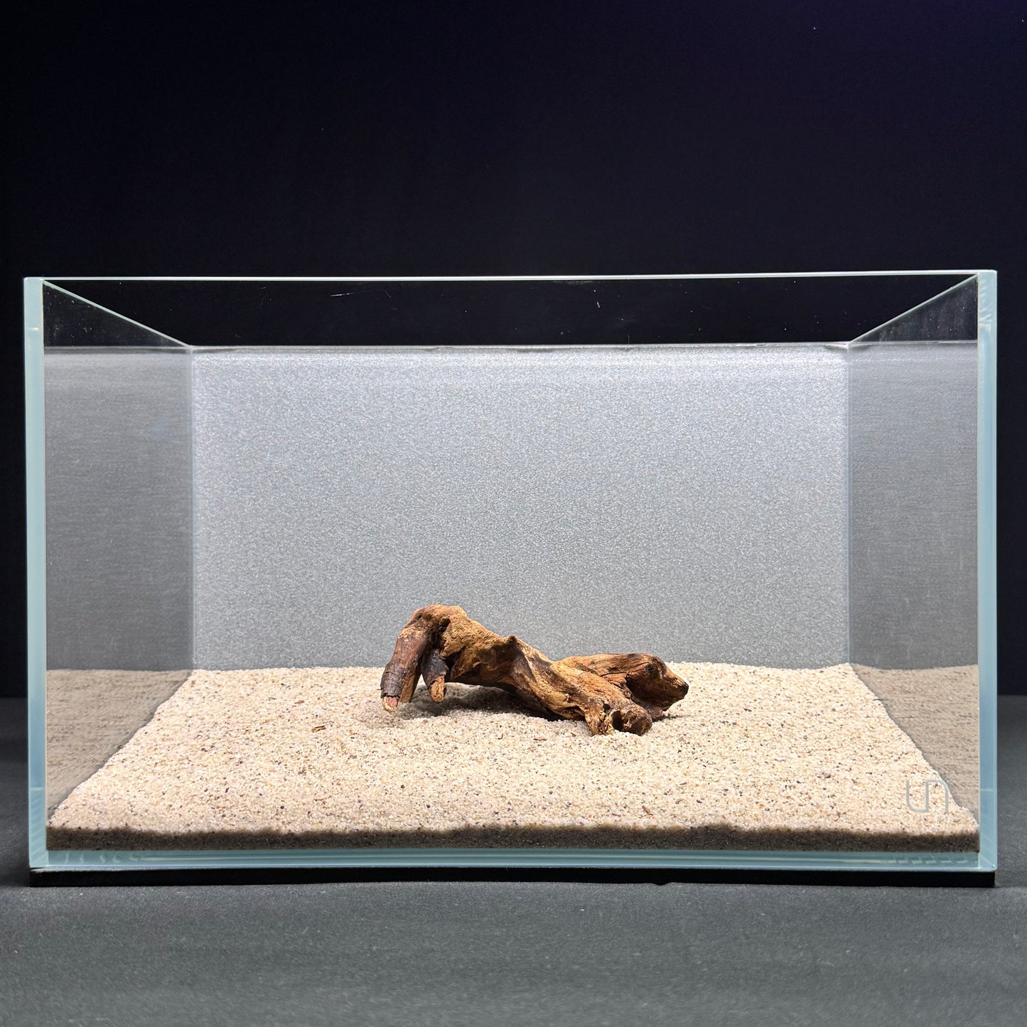 Malaysian Driftwood for Aquarium (4–6")
