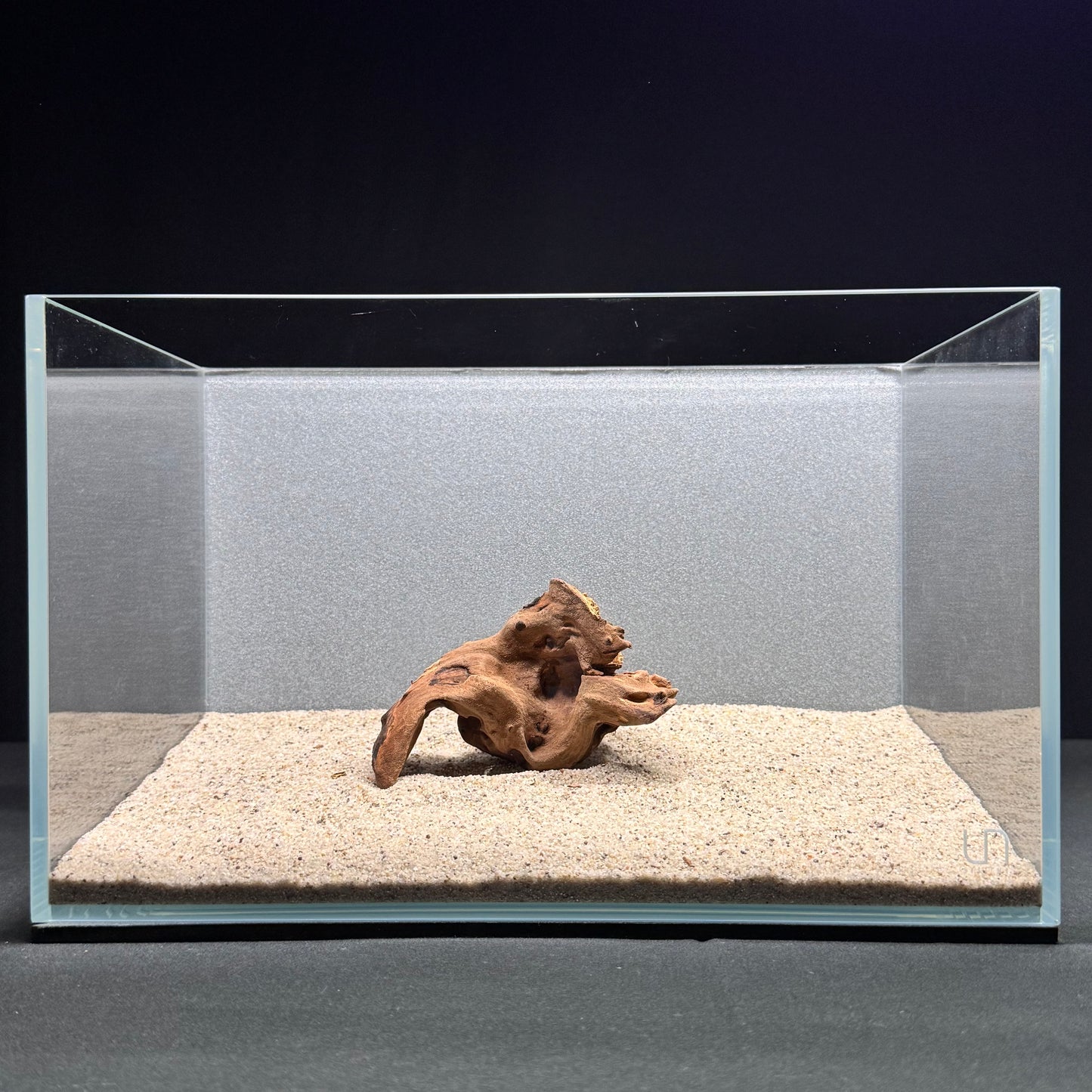 Malaysian Driftwood for Aquarium (4–6")