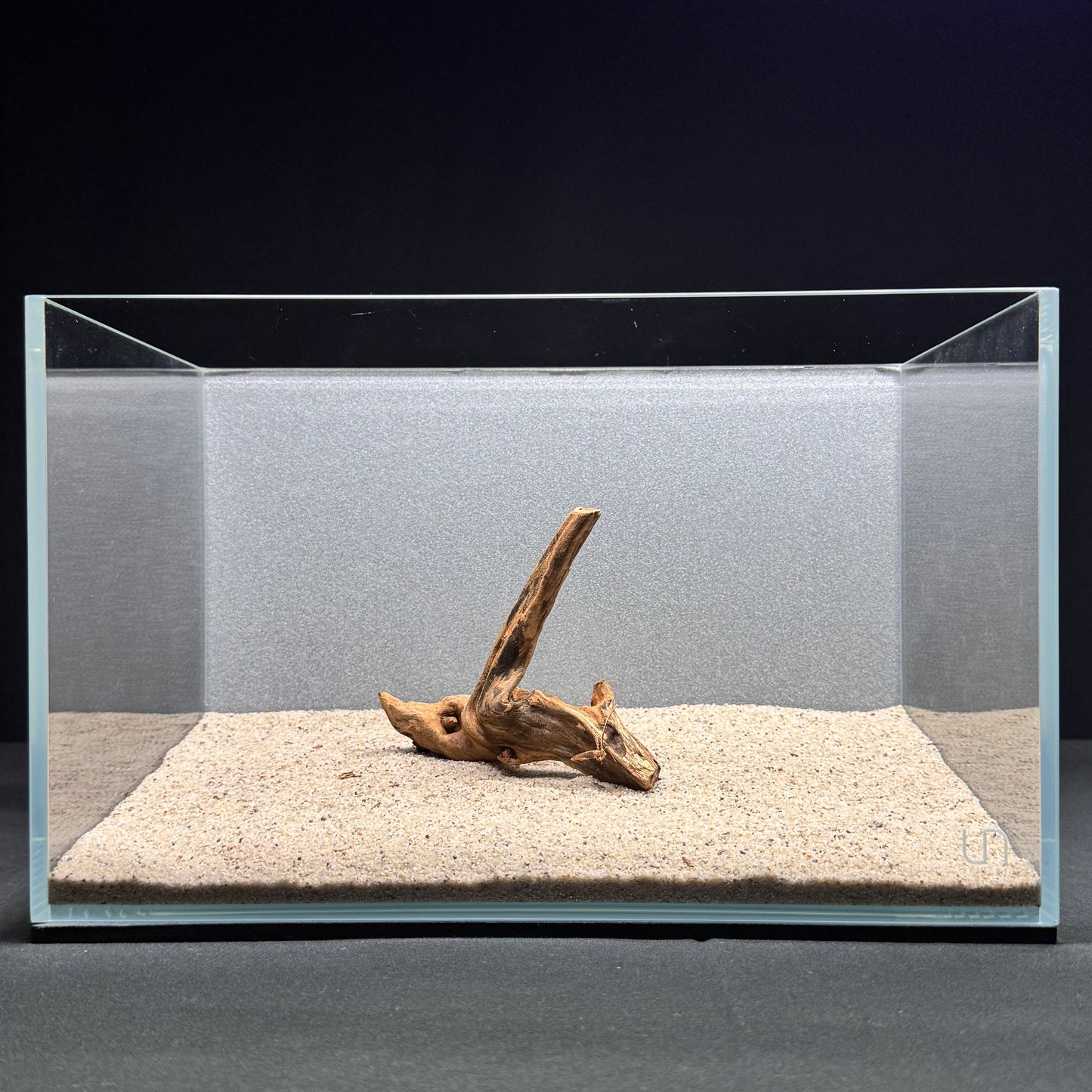Malaysian Driftwood for Aquarium (4–6")
