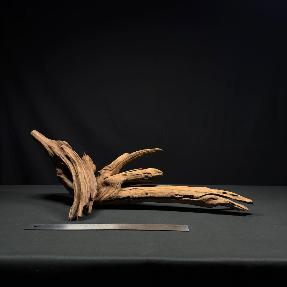 23” Malaysian Driftwood for Aquarium