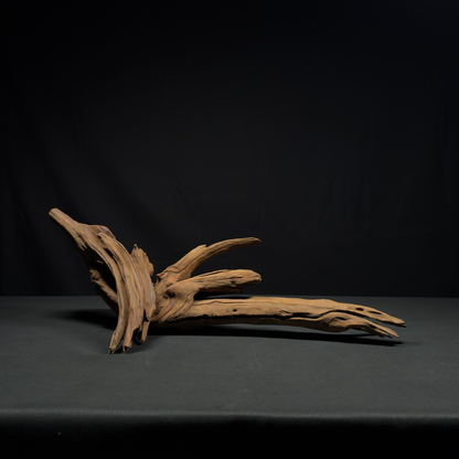 23” Malaysian Driftwood for Aquarium