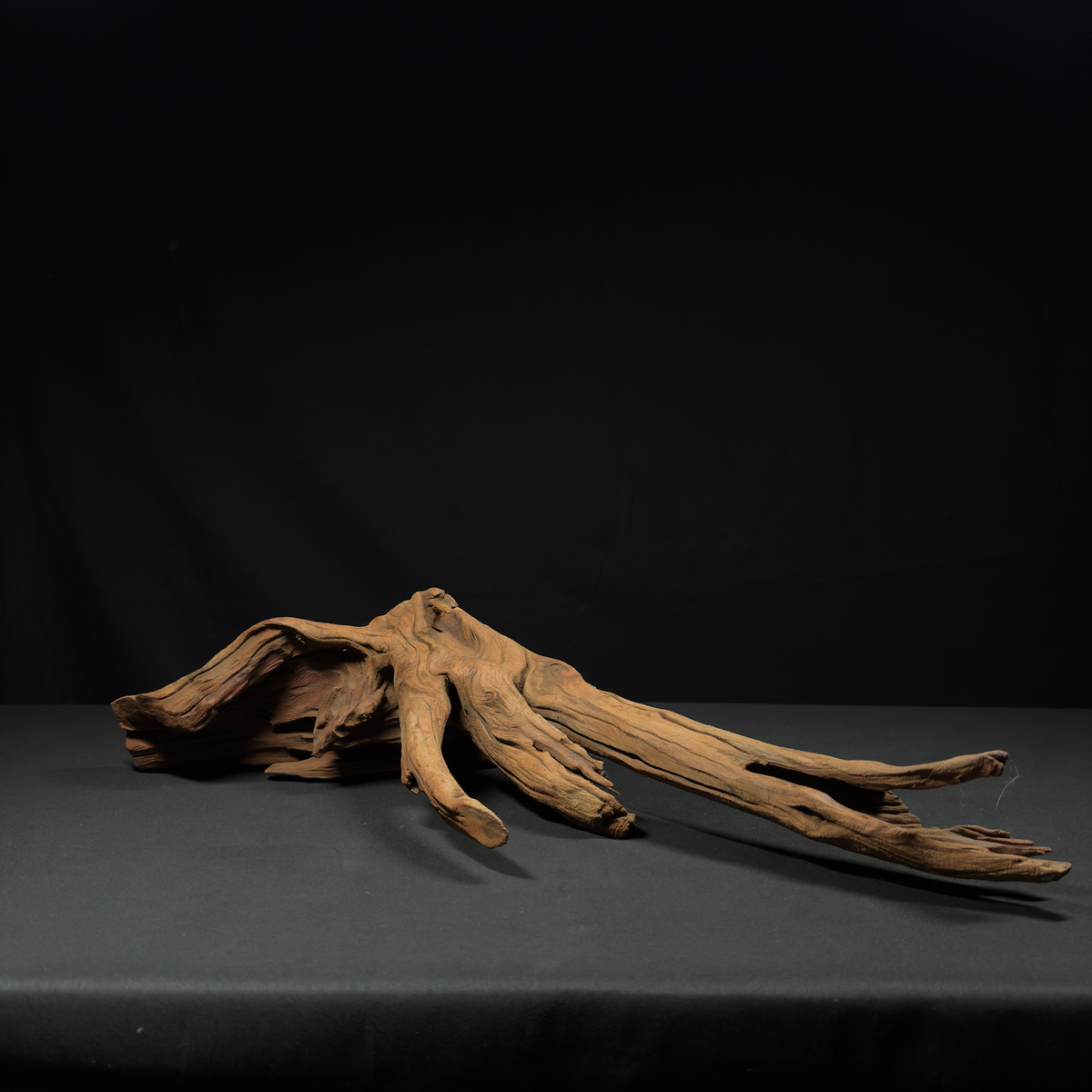 23” Malaysian Driftwood for Aquarium