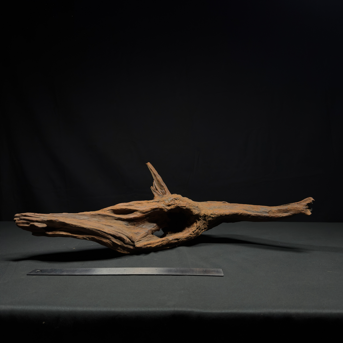 22” Malaysian Driftwood for Aquarium