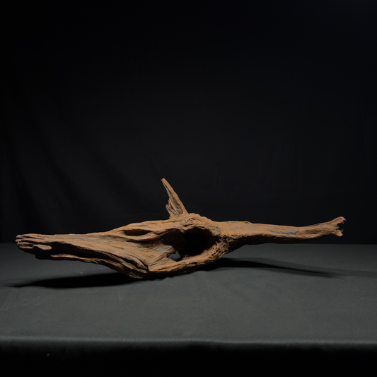 22” Malaysian Driftwood for Aquarium