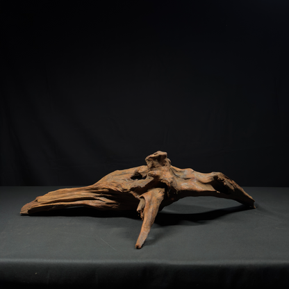 22” Malaysian Driftwood for Aquarium