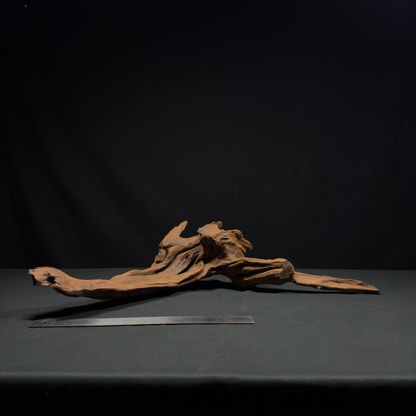 24” Malaysian Driftwood for Aquarium
