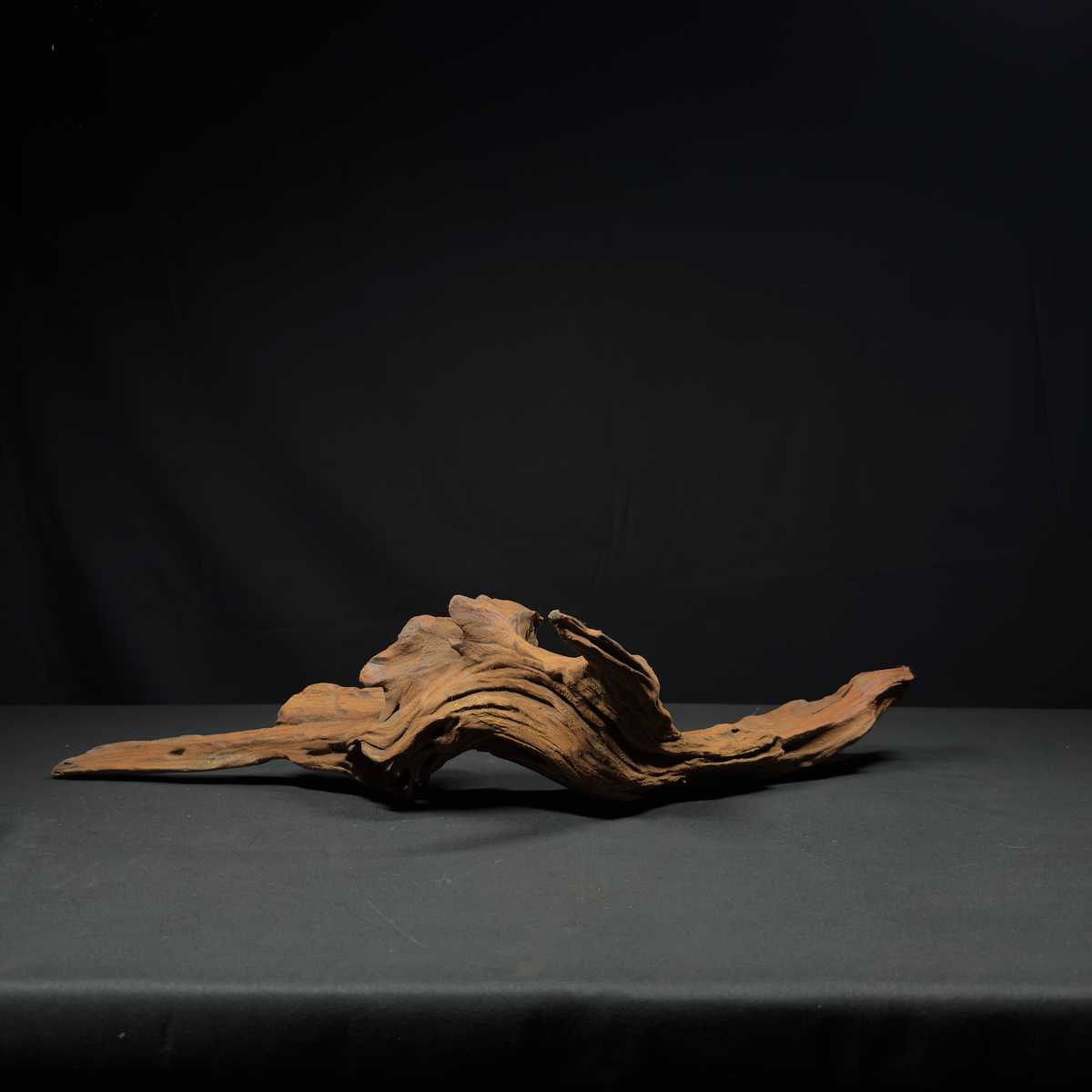24” Malaysian Driftwood for Aquarium