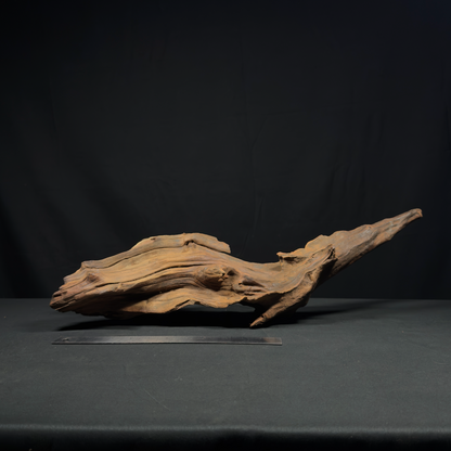 24” Malaysian Driftwood for Aquarium