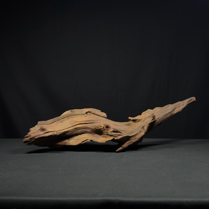 24” Malaysian Driftwood for Aquarium