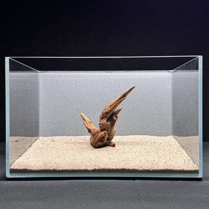 Malaysian Driftwood for Aquarium (4-6")