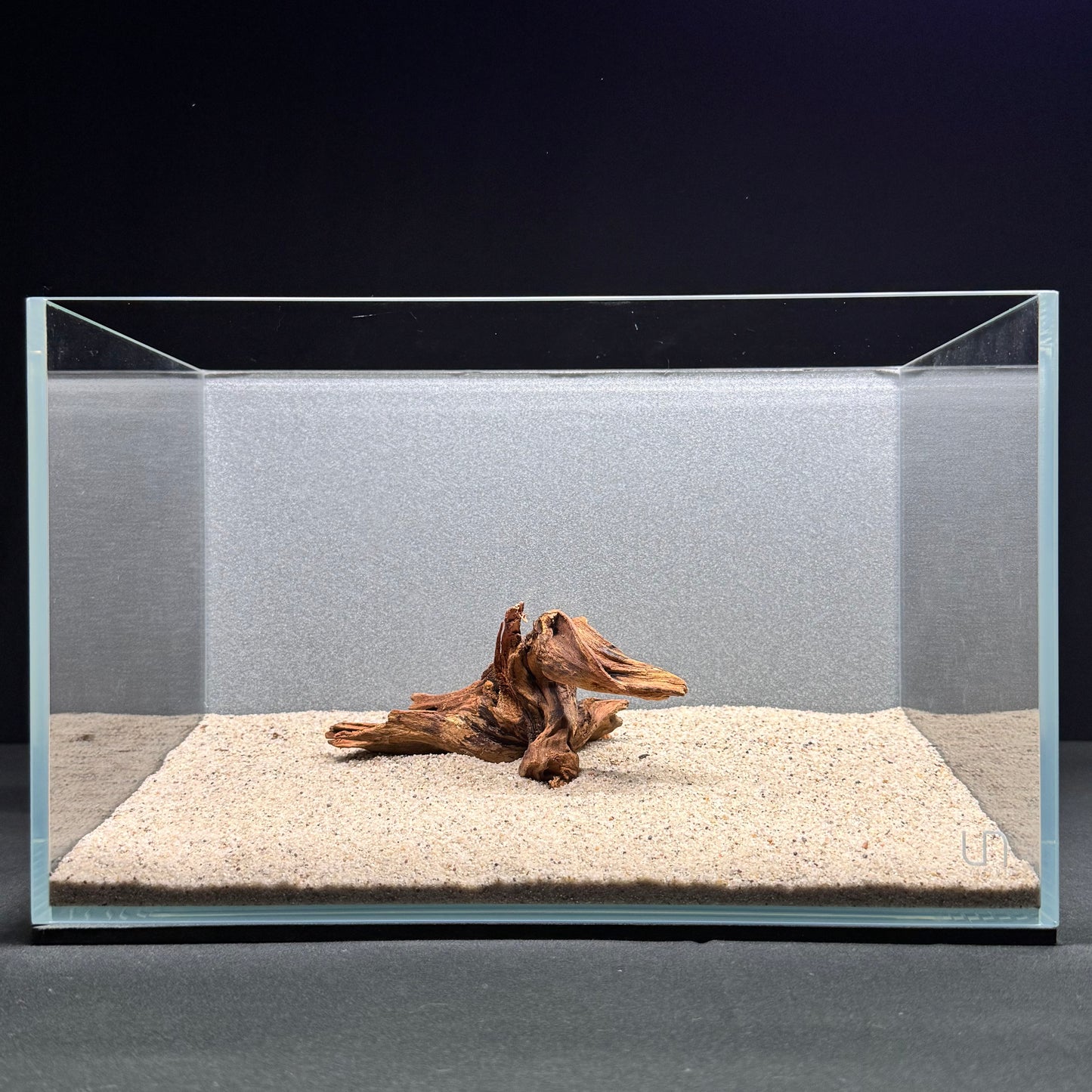 Malaysian Driftwood for Aquarium (4–6")