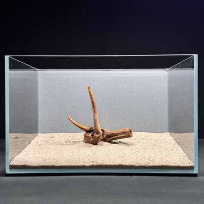 Malaysian Driftwood for Aquarium (4-6")