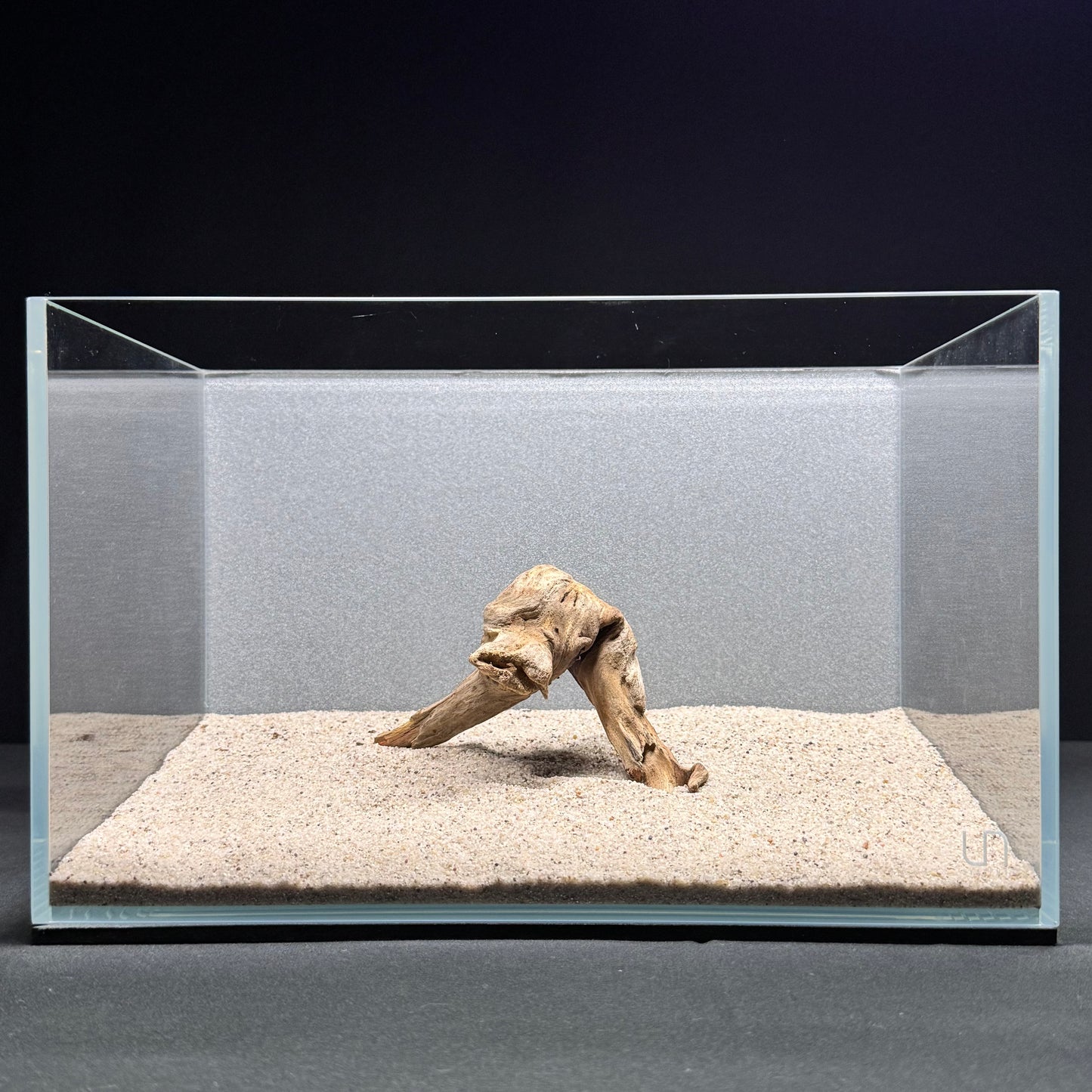 Malaysian Driftwood for Aquarium (4–6")