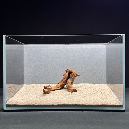 Malaysian Driftwood for Aquarium (4-6")
