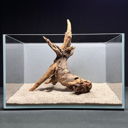 Centerpiece Malaysian Driftwood for Aquarium (8-10")