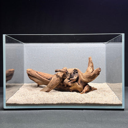 Centerpiece Malaysian Driftwood for Aquarium (8-10")