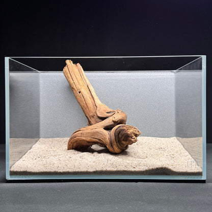 Centerpiece Malaysian Driftwood for Aquarium (8-10")