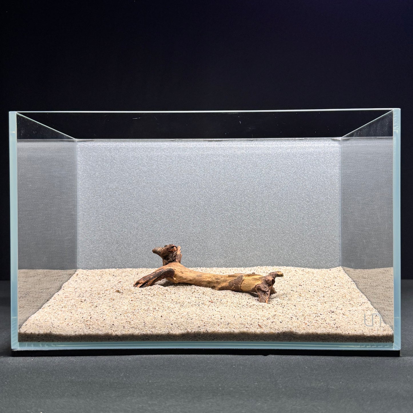 Malaysian Driftwood for Aquarium (4–6")