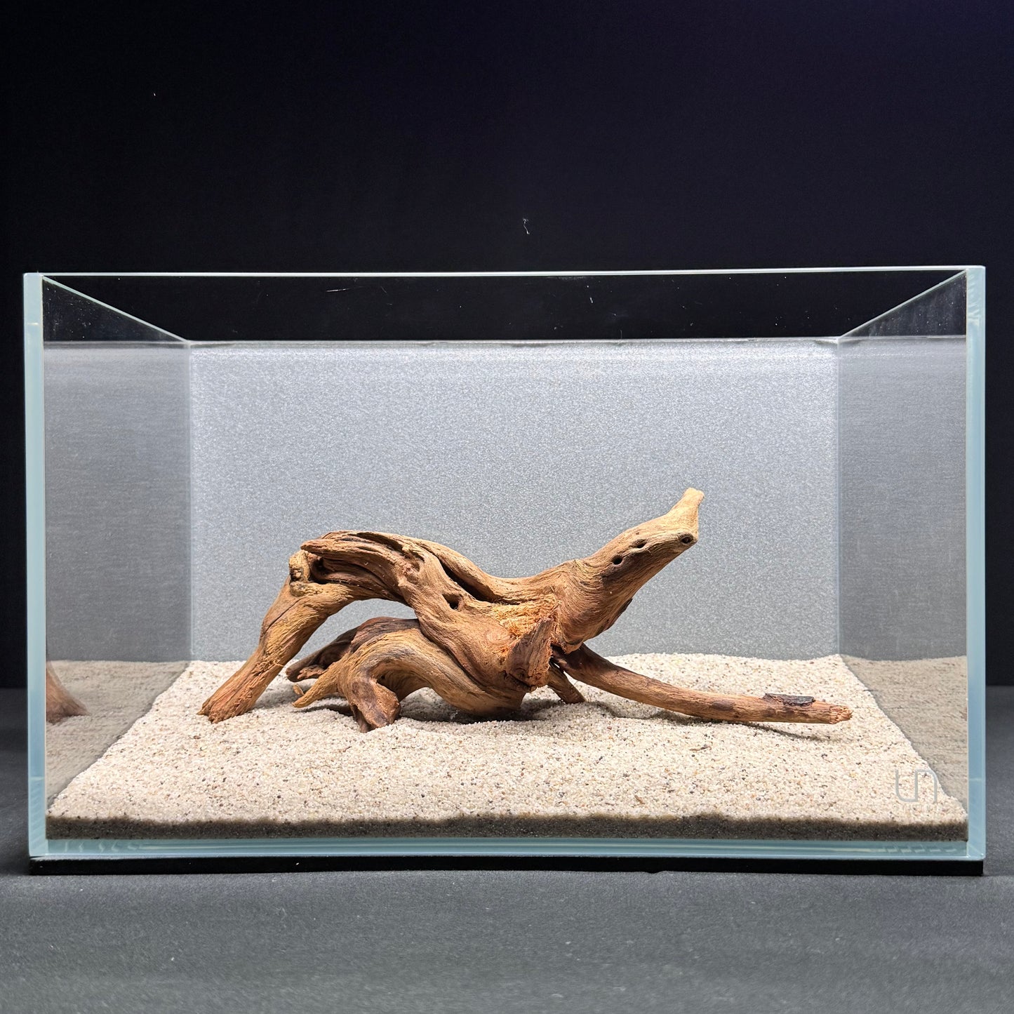 Malaysian Driftwood for Aquarium (8-10")