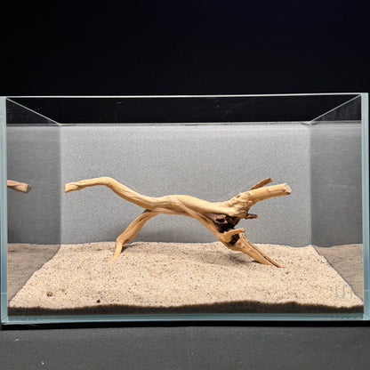 Spiderwood for Aquarium (8-10")